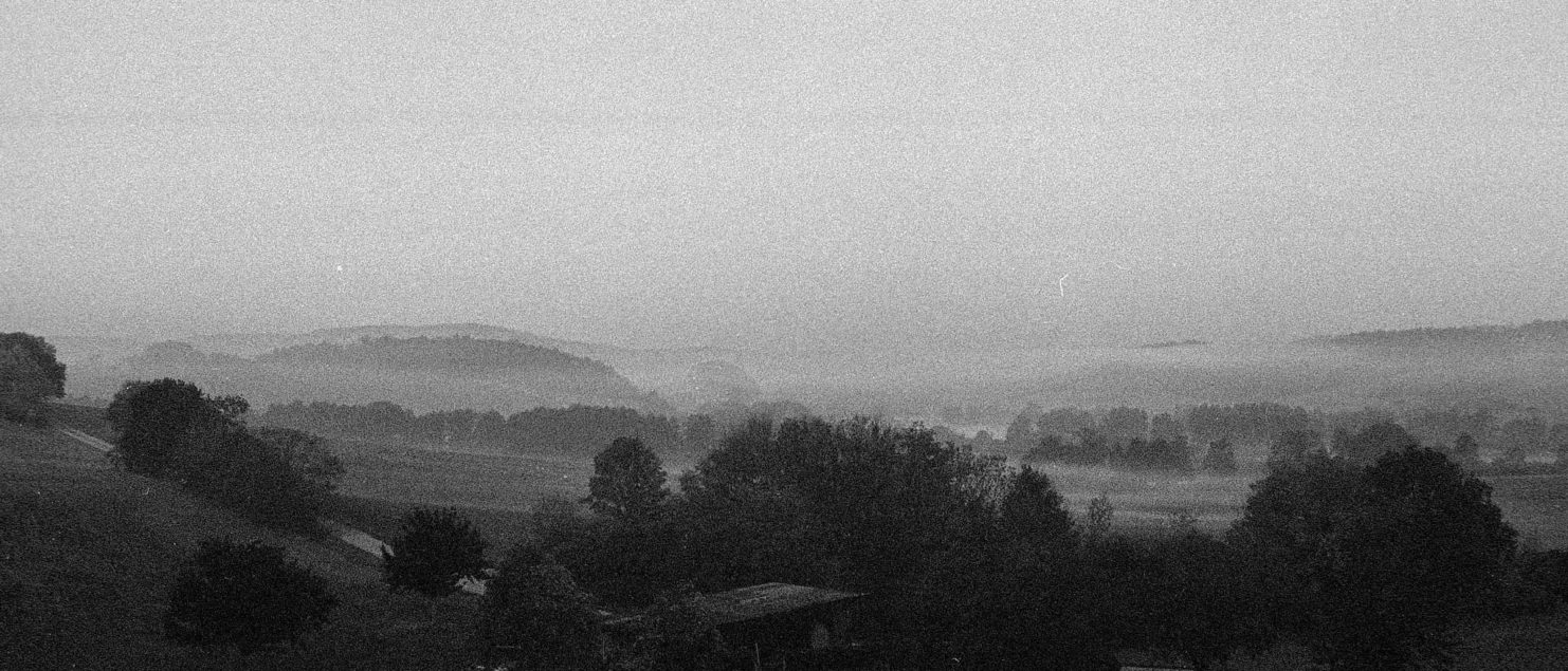 279-foggy.morning-walk